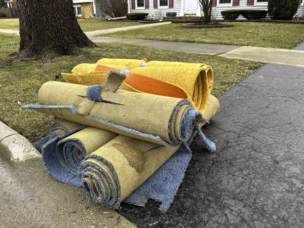 Carpet Haul Away Service in Cape Coral
