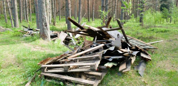 Debris Removal Service in Cape Coral